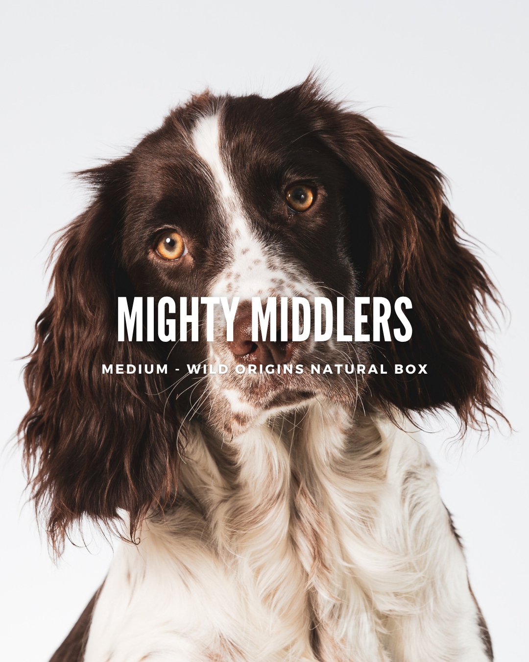 Mighty Middlers (Medium) Wild Origins Natural Box