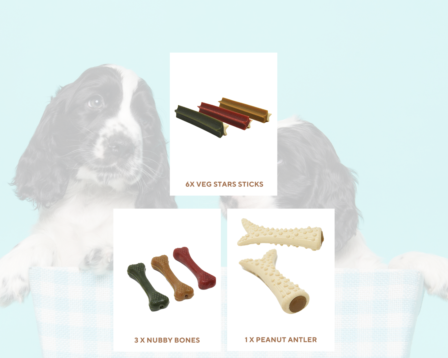 Baxter Fiver Bundle - 10 treats!