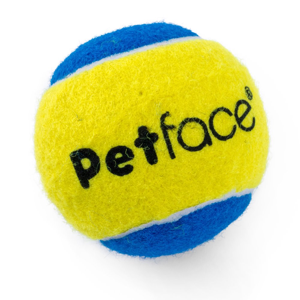 PetFace Squeaky Tennis Balls