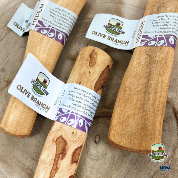 Paddock farm olive branch dog and puppy chew