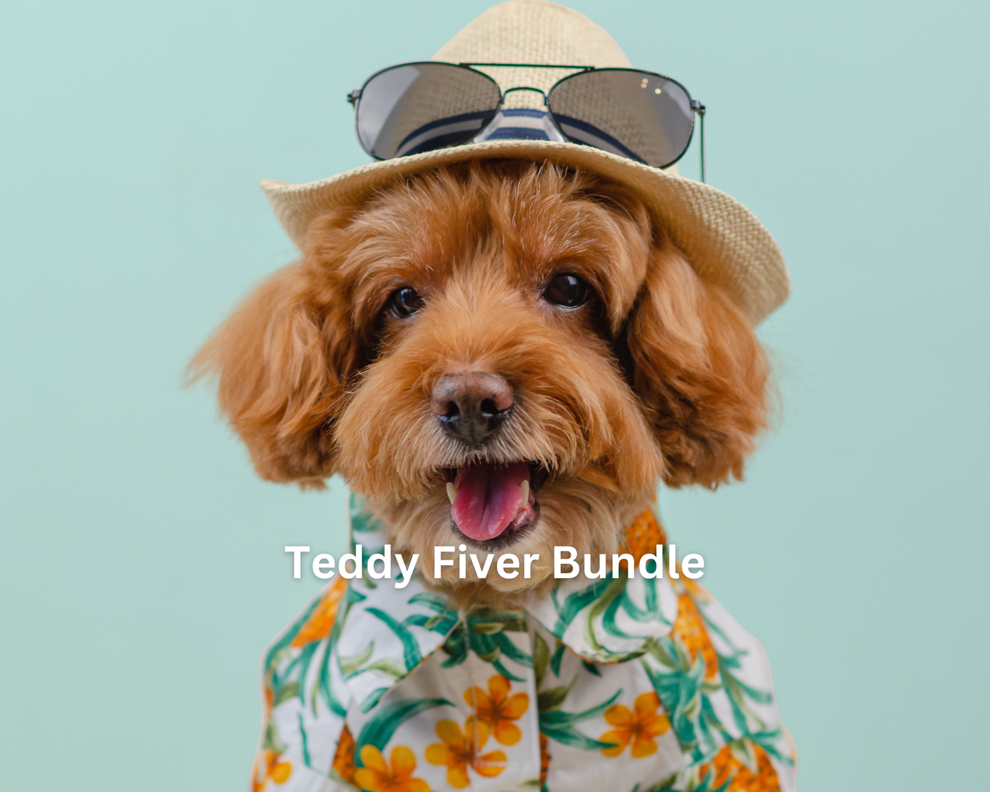 Teddy Fiver Bundle - 10 treats!
