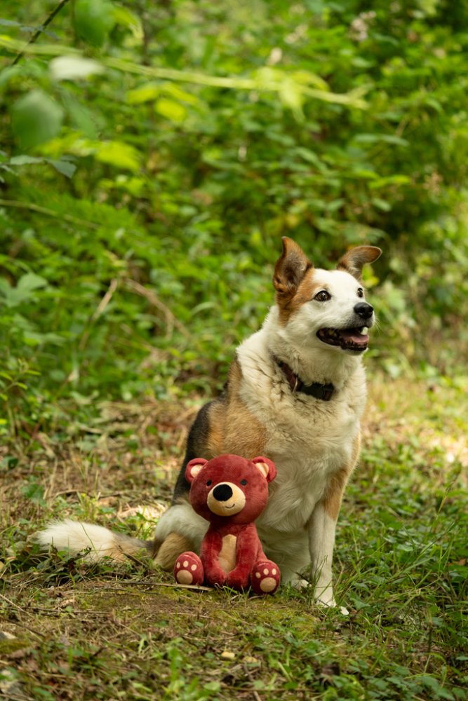 Bruno Baby Bear Plush Toy