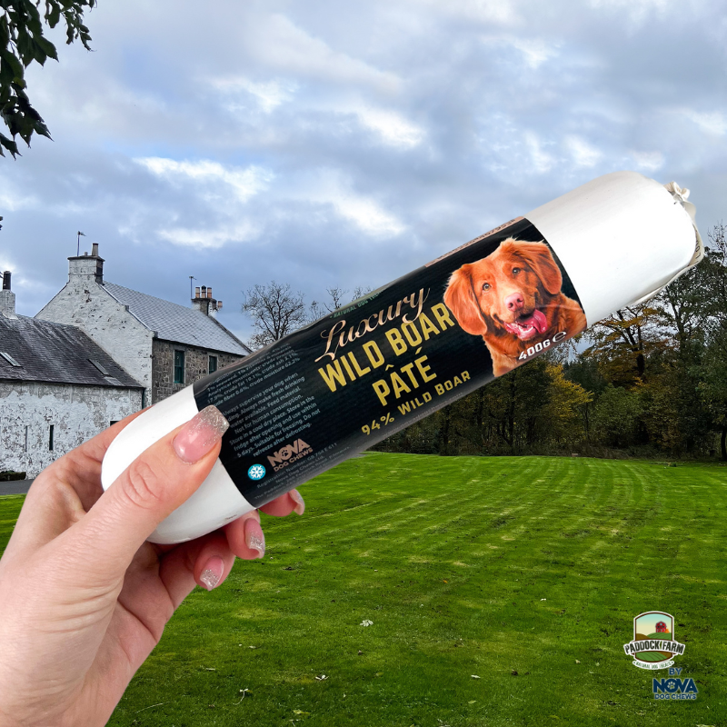 Luxury Wild Boar Pate, 400g