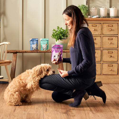 Calming Dog Treats - Camomile & Lavender Soft Bites
