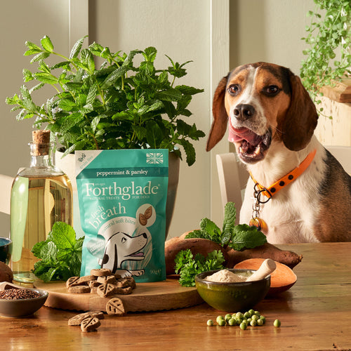 Fresh dog breath treats - peppermint & parsley soft bites