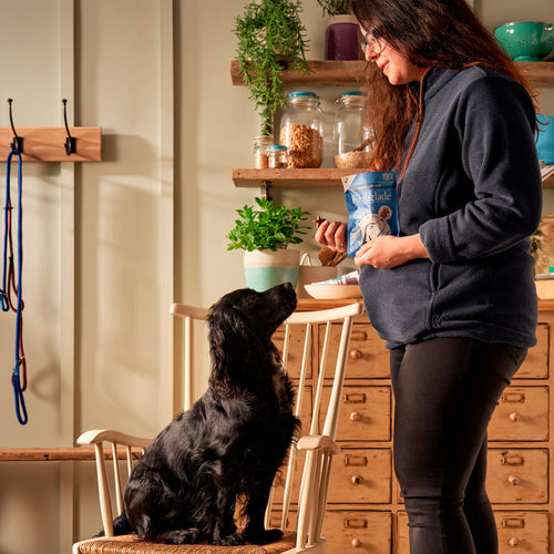 Rewards Training Multi-functional Soft Bites with Chicken & Liver