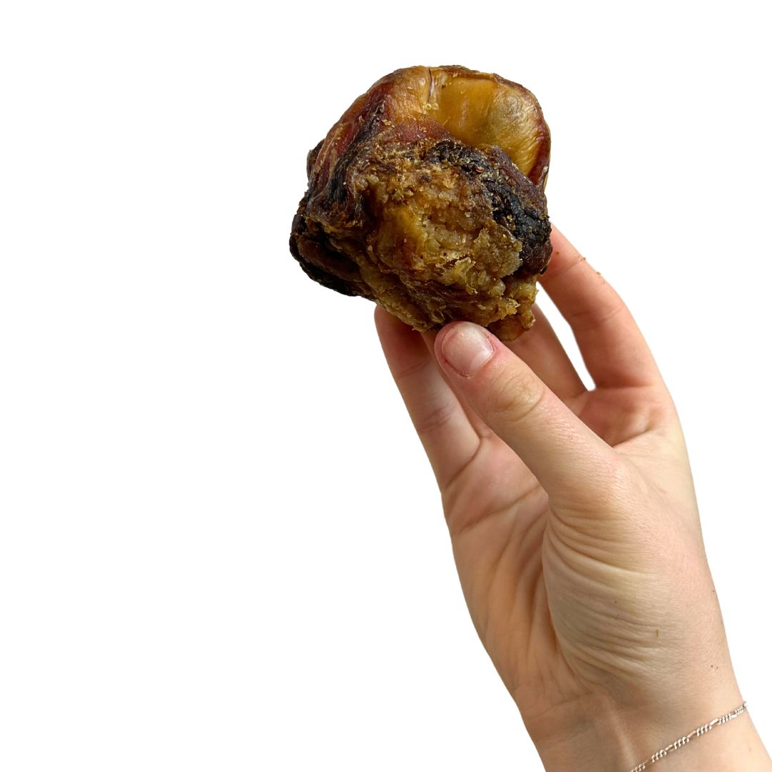 Beef Knee Dog Chew – Natural