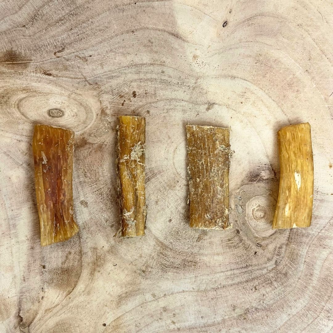 Beef Paddywack Tendon Dog Chew – Natural
