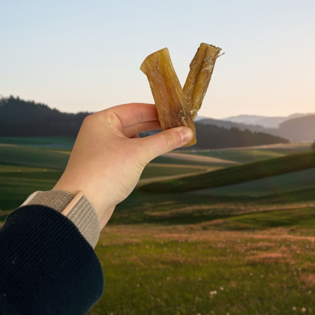 Beef Paddywack Tendon Dog Chew – Natural