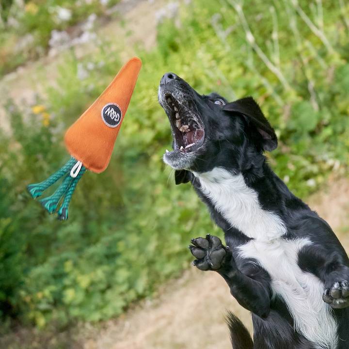 Candice the Carrot