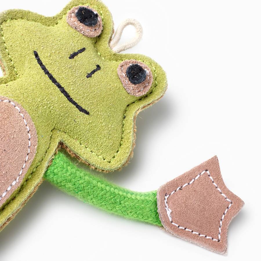Francois Le Frog