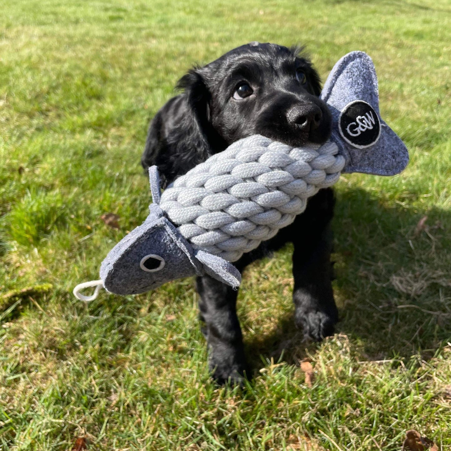 Roger the Rope Fish