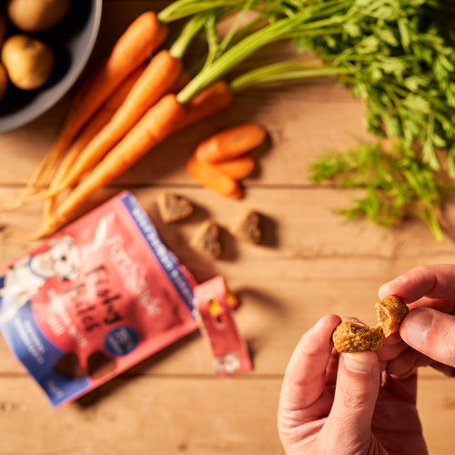 Fish Dog Treats - Salmon & Dill Fishy Bites