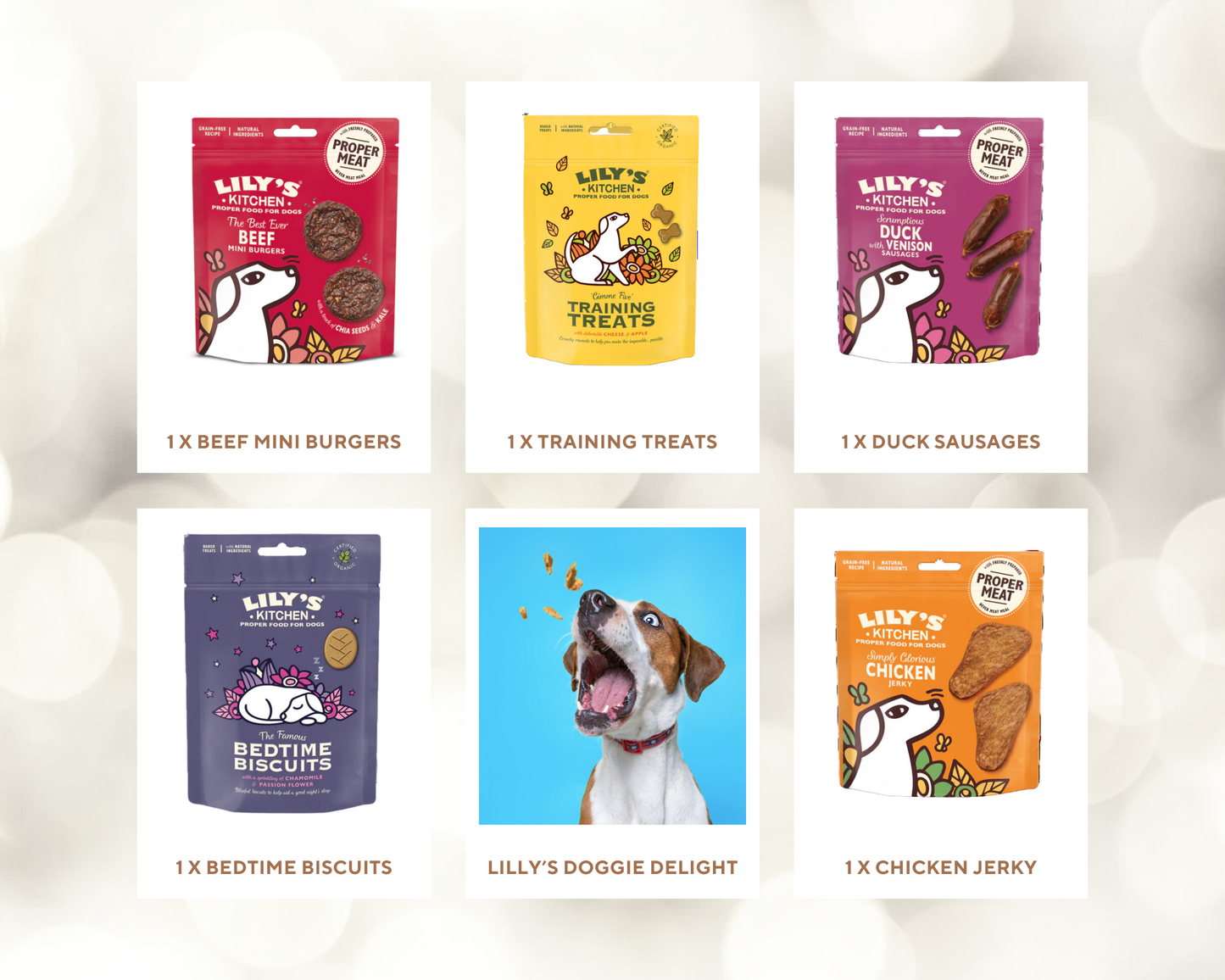 Lily's Doggie Delights - 5 treat bags