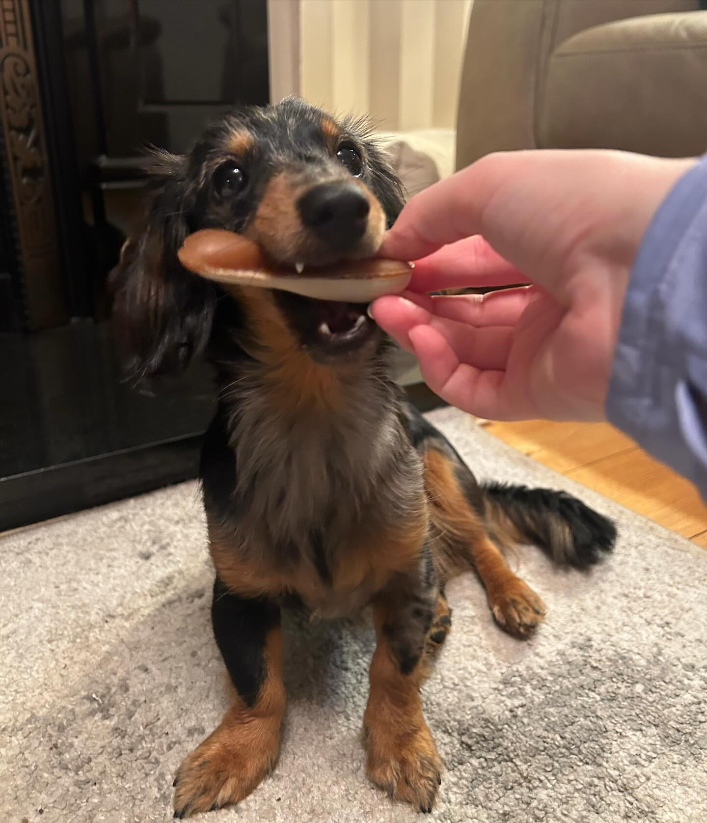 Lossie with Peanut Butter Dual Bone