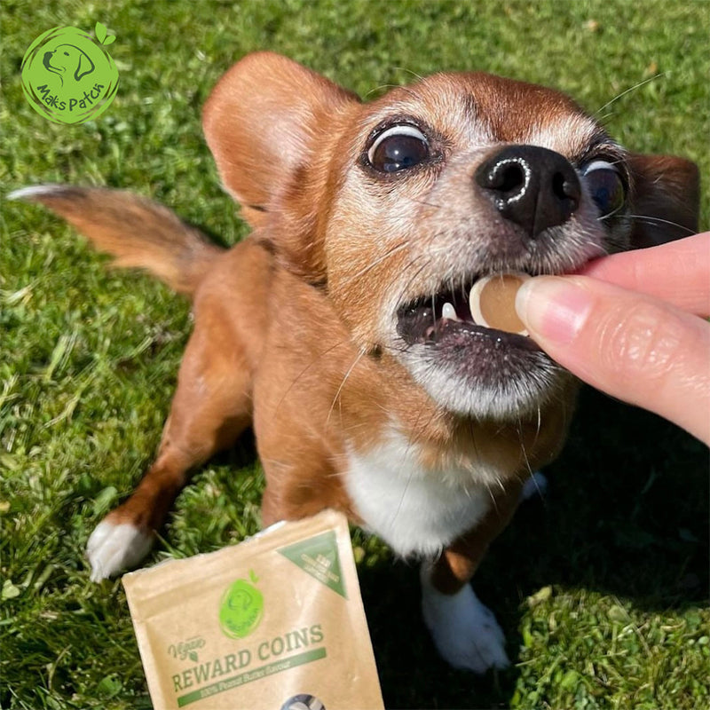 Barking Good Bundle - 25 treats (incl. 2 packs)