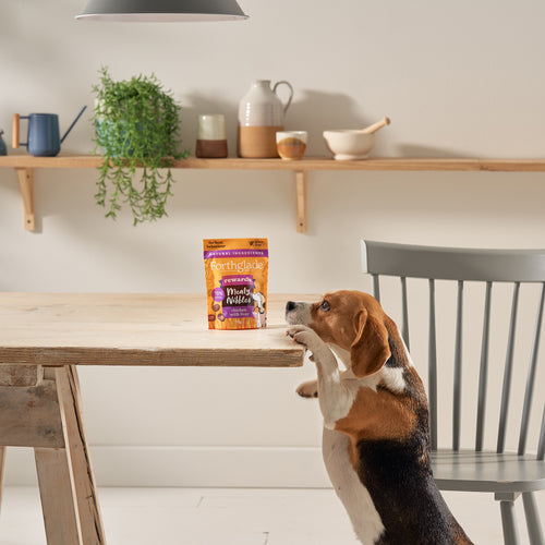 Rewards Meaty Nibbles with Chicken & Liver