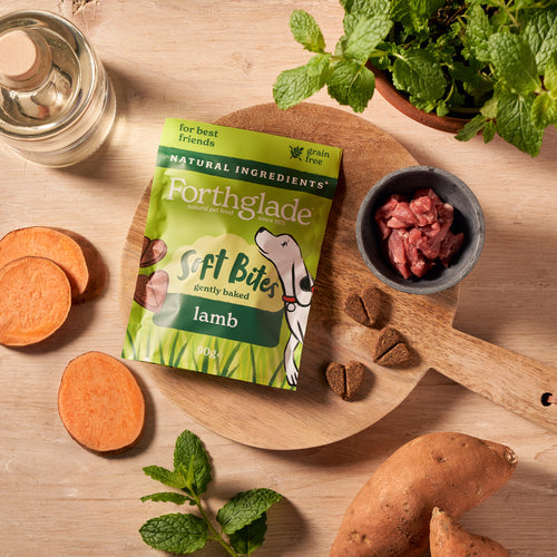 Natural Hand-Baked Soft Bite Treats With Lamb