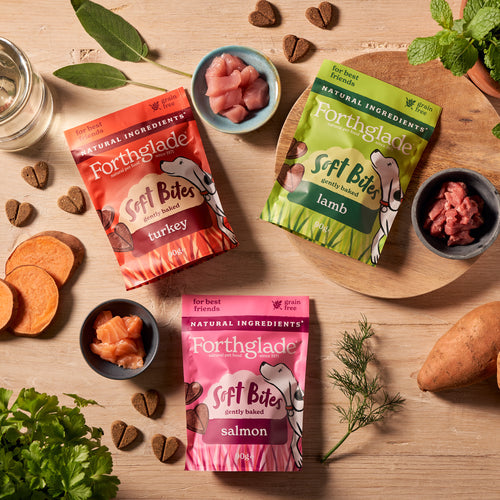 Natural Hand-Baked Soft Bite Treats With Lamb
