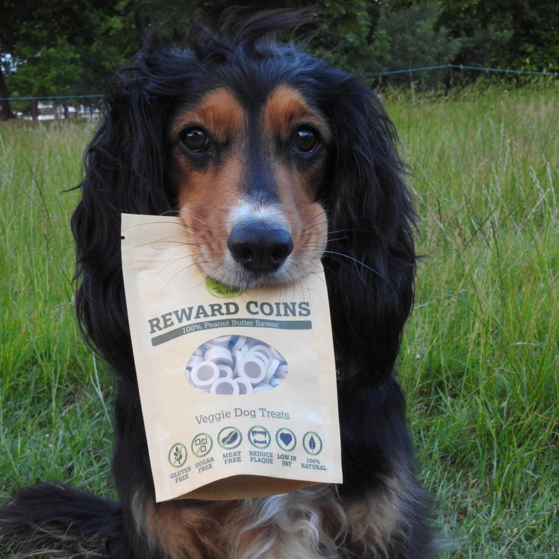 Barking Good Bundle - 25 treats (incl. 2 packs)
