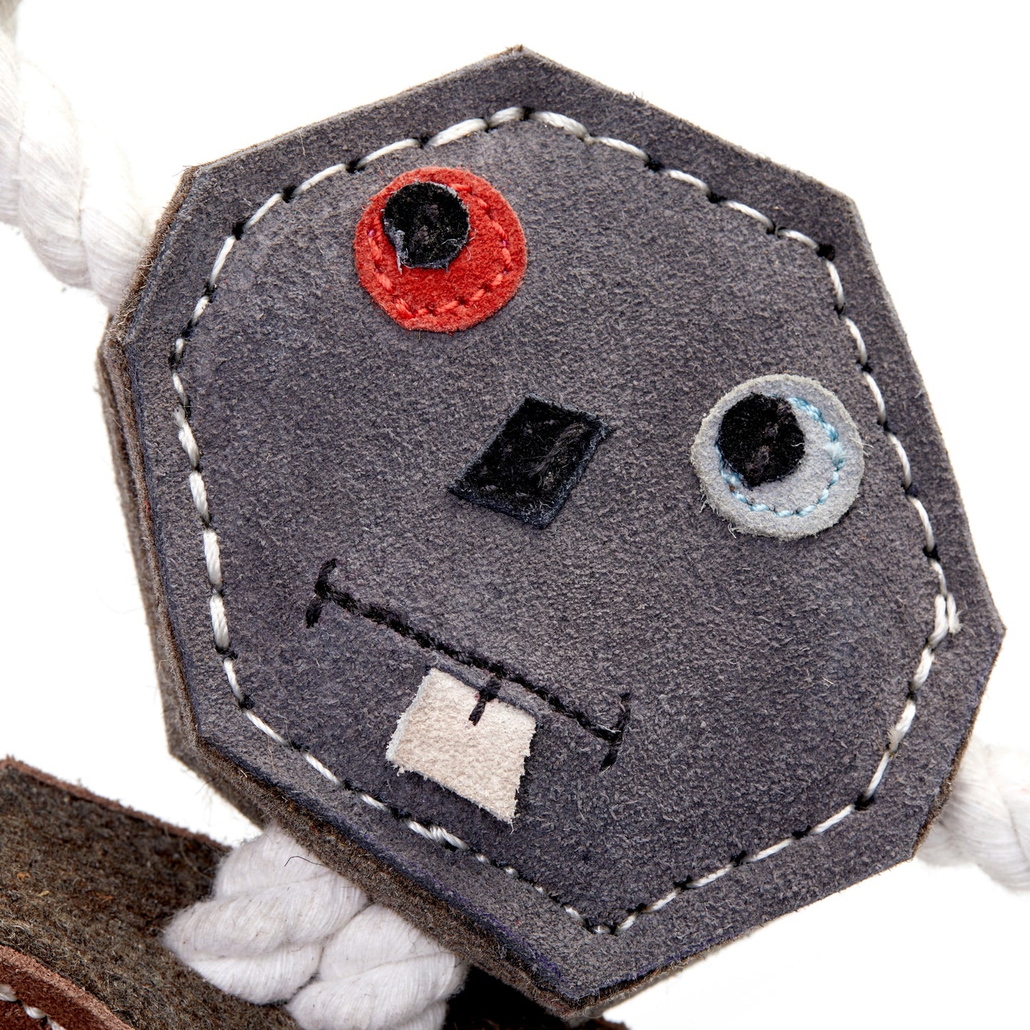 Robot Eco dog toy