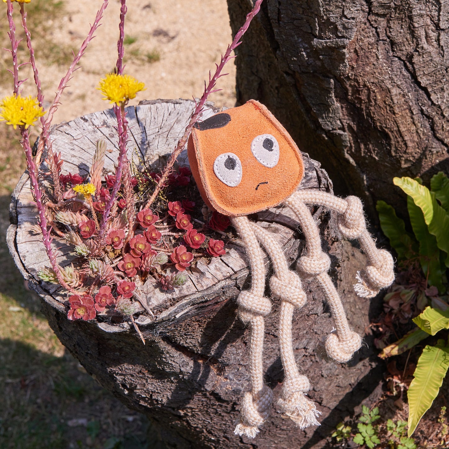 Orange Green and wilds eco dog toy, Sid the squid.