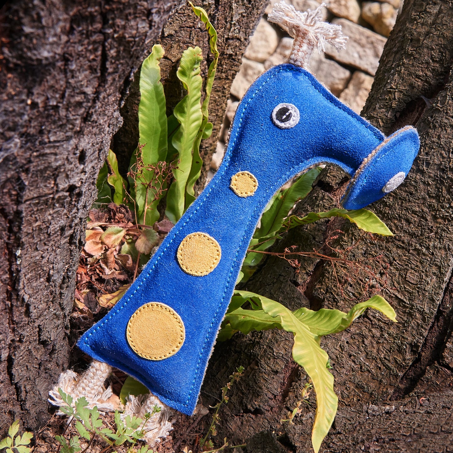 Blue and Yellow Green and wilds eco dog toy, Smorg