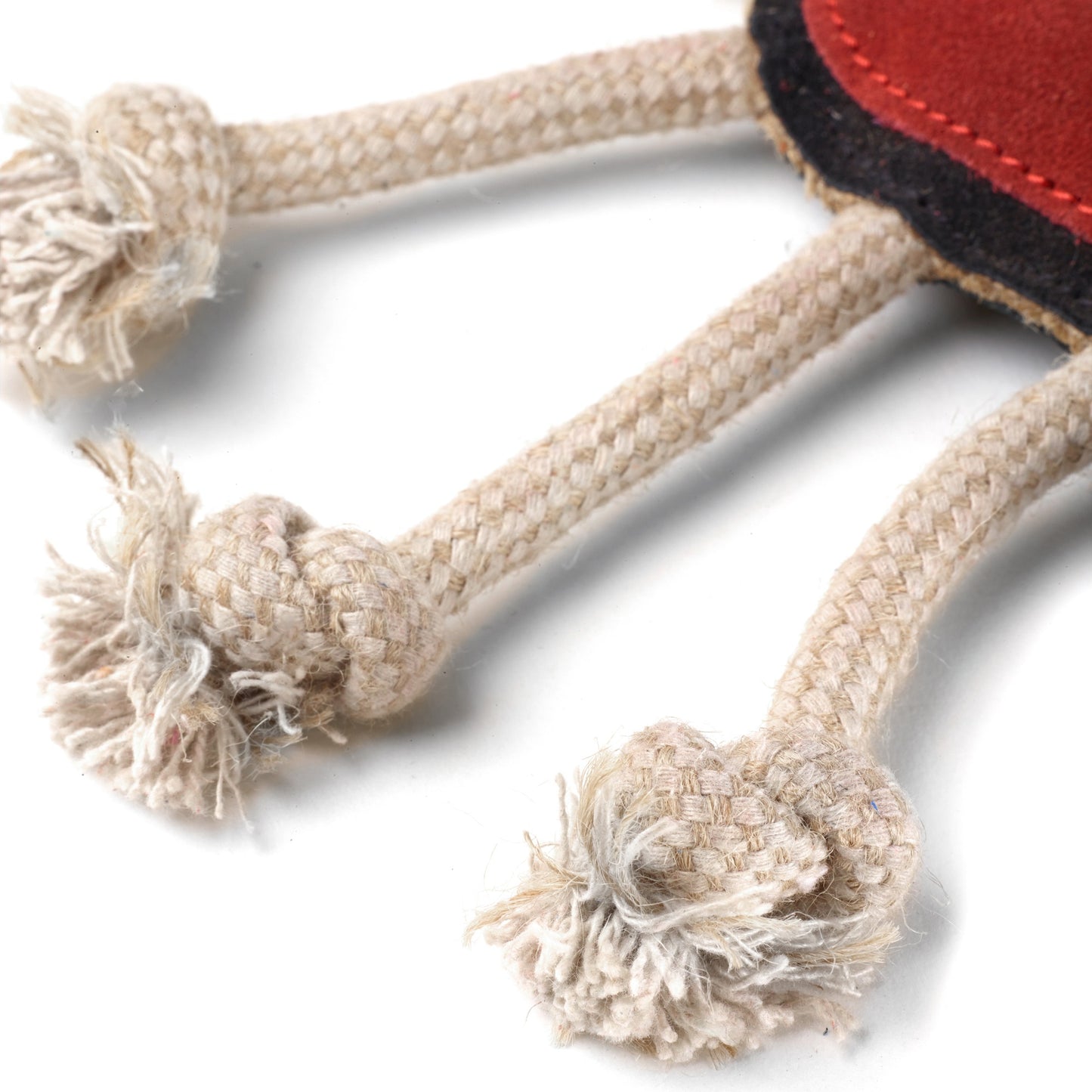 Green and wilds eco dog and puppy toy, Spike the spider