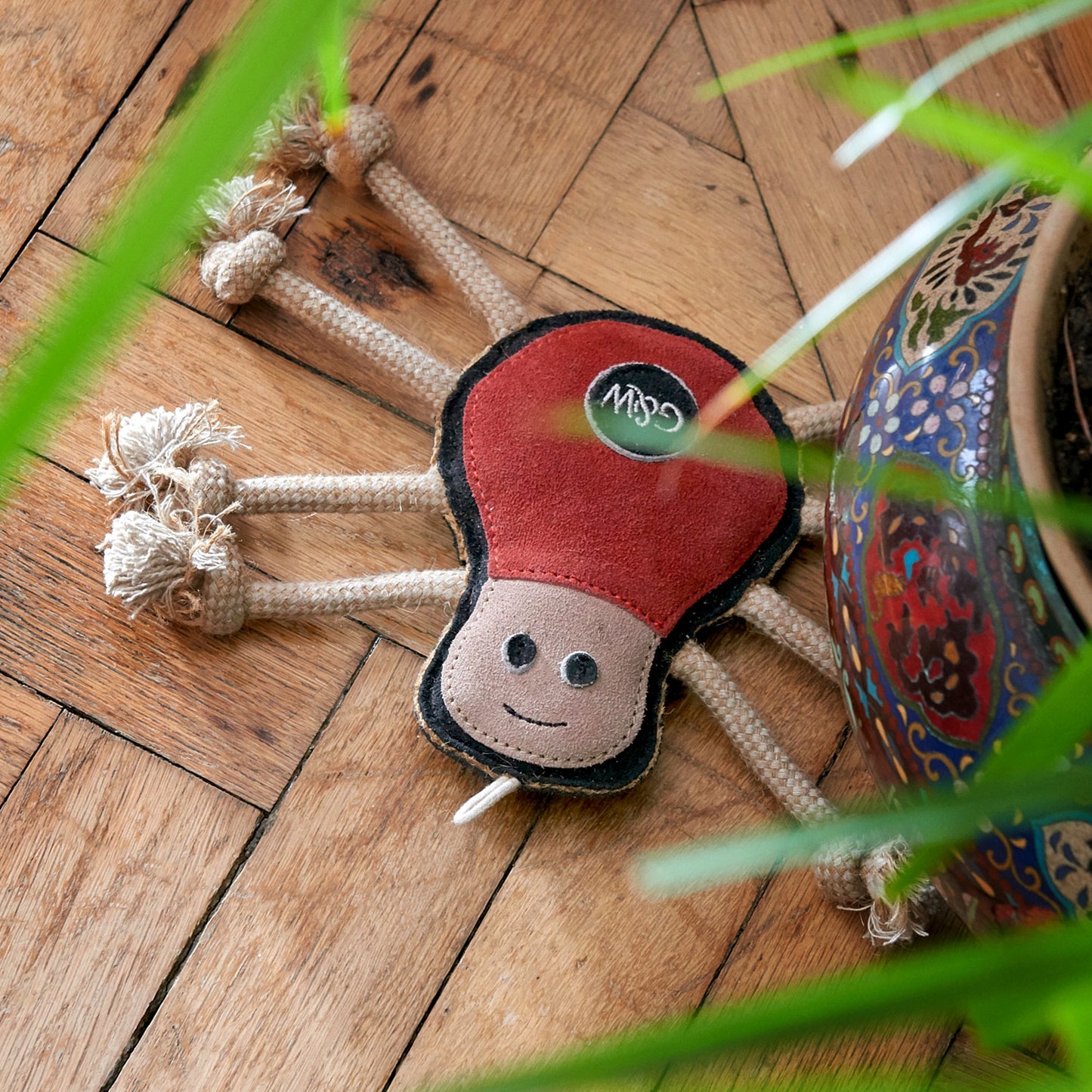 Green and wilds eco dog and puppy toy, Spike the spider