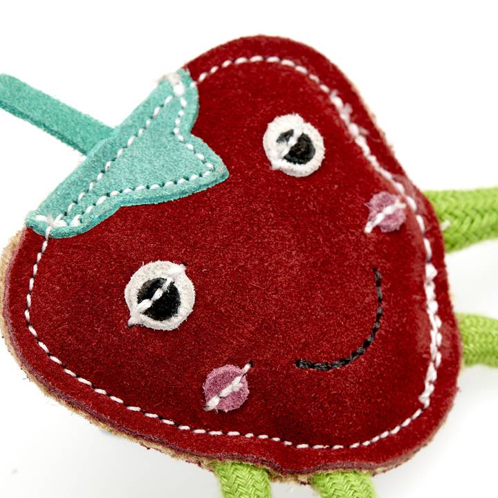 Steve the Strawberry, Eco Dog and Cat Toy