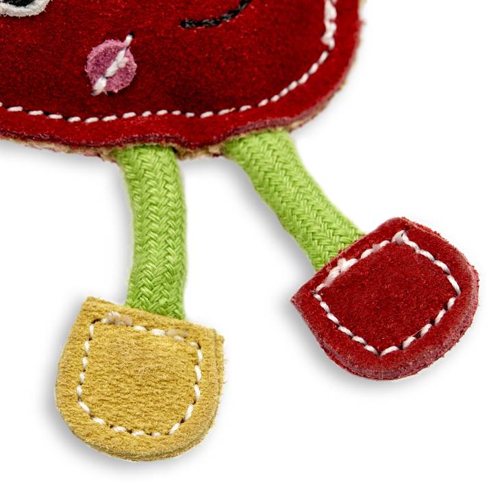 Steve the Strawberry, Eco Dog and Cat Toy