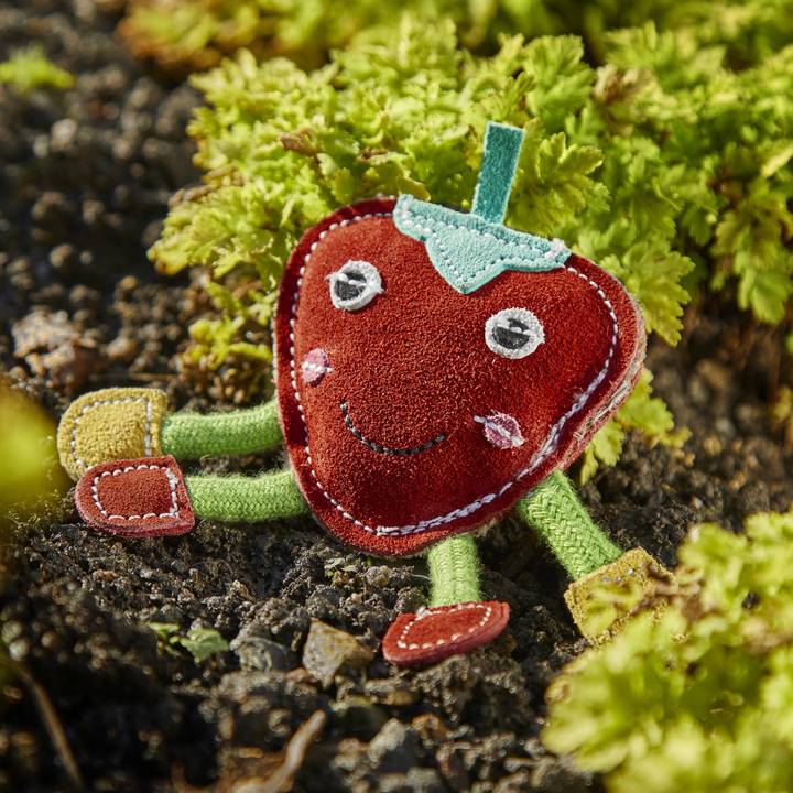 Steve the Strawberry, Eco Dog and Cat Toy