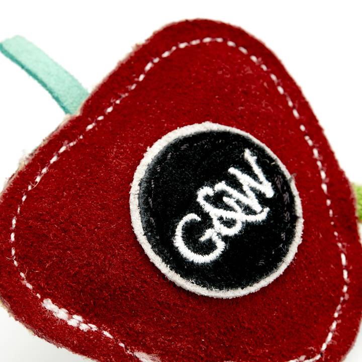 Steve the Strawberry, Eco Dog and Cat Toy