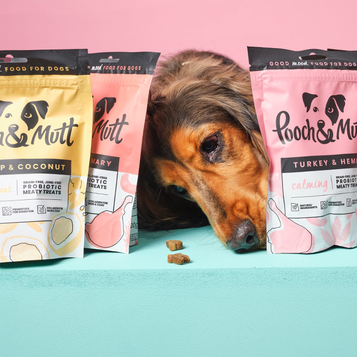 Probiotic Meaty Treats Bundle