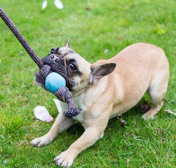 Beco dog ball toy on a rope