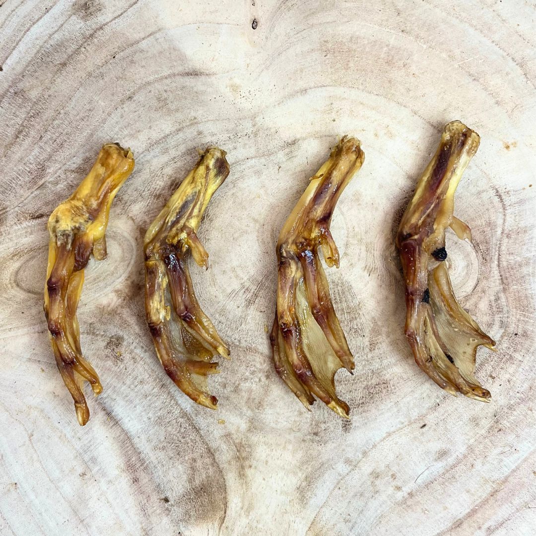 Duck Feet Dog Chew – Single