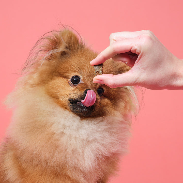 Probiotic Meaty Treats Bundle