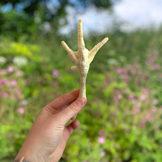 Puffed Chicken Feet Dog Chew