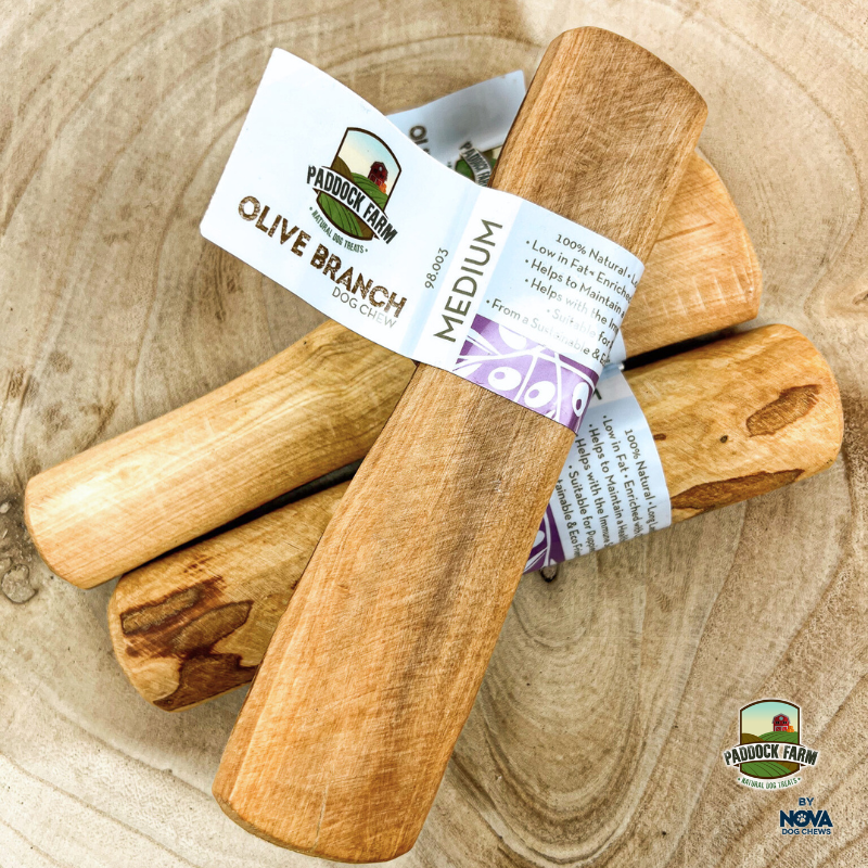Paddock farm olive branch dog and puppy chew