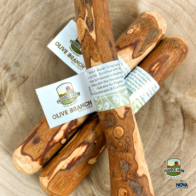 Paddock farm olive branch dog and puppy chew