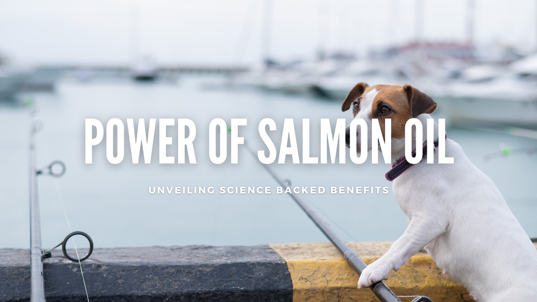 The Power of Salmon Oil: Unveiling the Science-Backed Benefits for Dogs