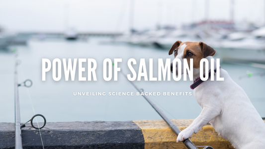 The Power of Salmon Oil: Unveiling the Science-Backed Benefits for Dogs