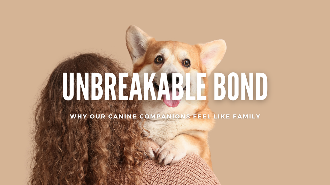 The Unbreakable Bond Between Us and Our Dogs