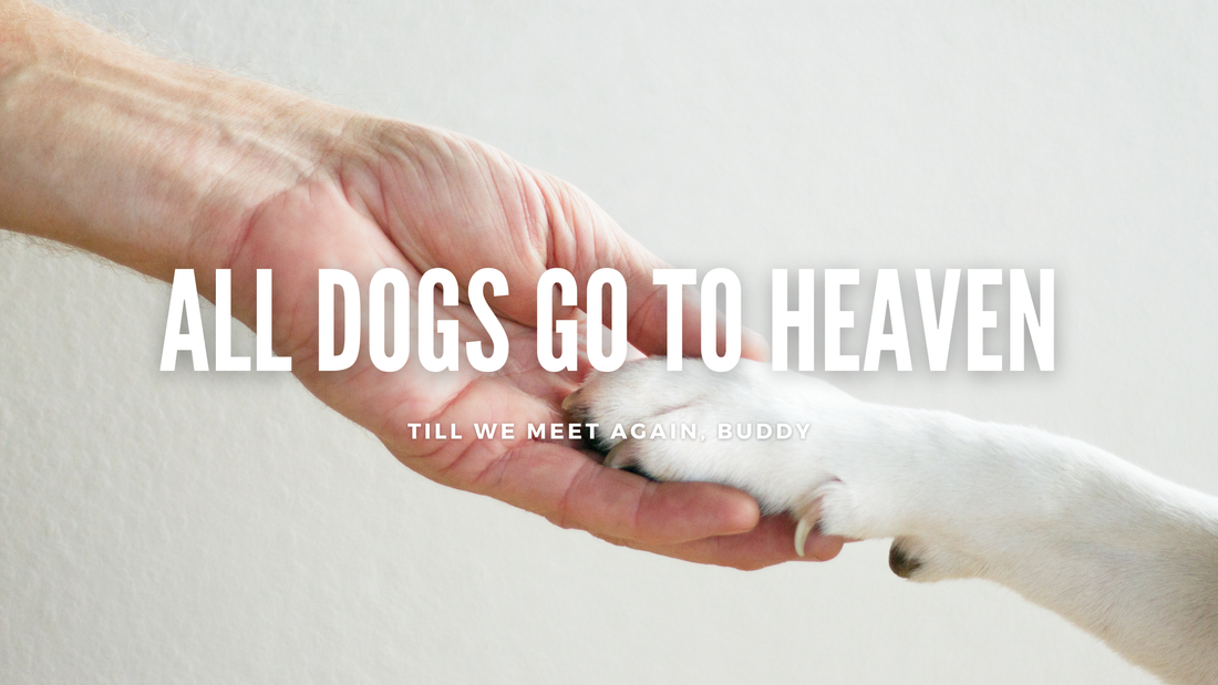 Pet Loss: A Heartbreaking Reality and a Path to Healing