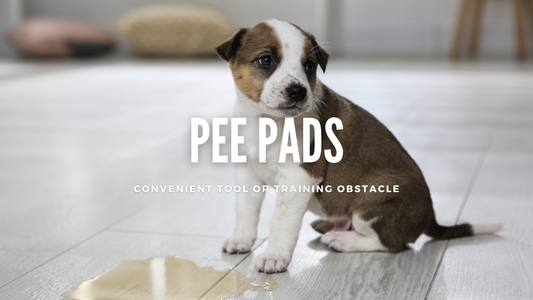 Puppy Pee Pads: A Convenient Tool or a Training Obstacle?