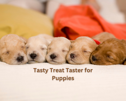 Tasty Treat Taster Bundle for Puppies