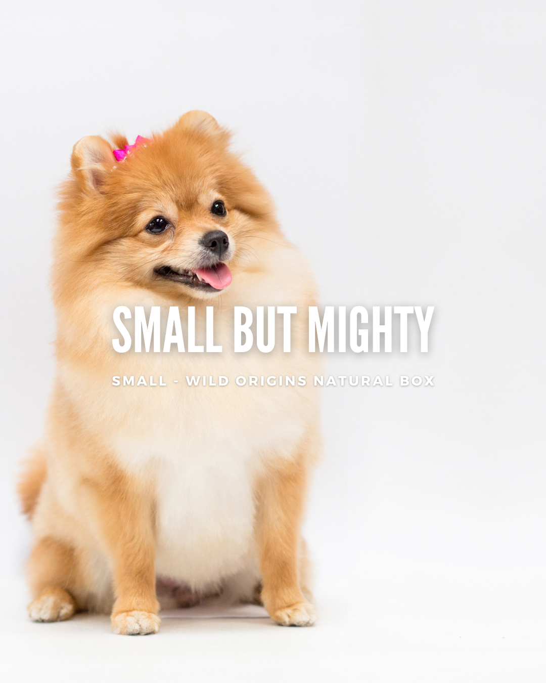 Small but Mighty (Small) Wild Origins Natural Box