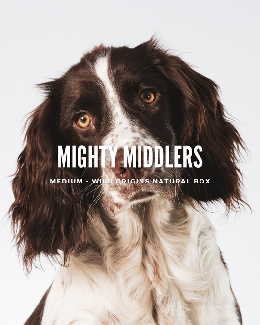 Mighty Middlers (Medium) Wild Origins Natural Box