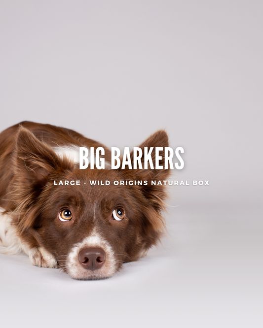 Big Barker (Large) Wild Origins Natural Box