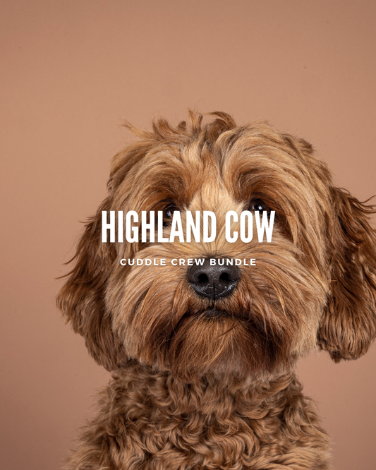 Highland Cow Cuddle Crew Bundle
